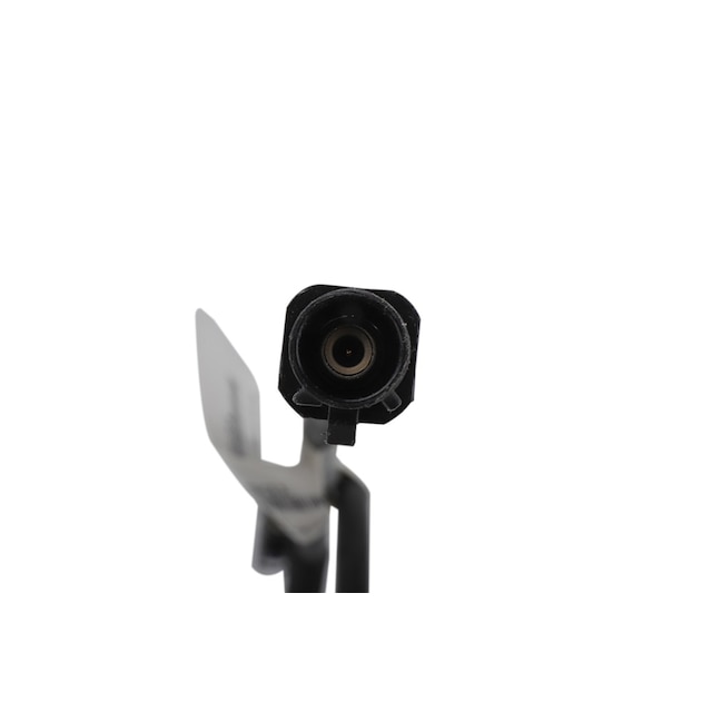 Alternate Image