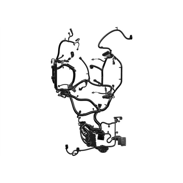 Alternate Image