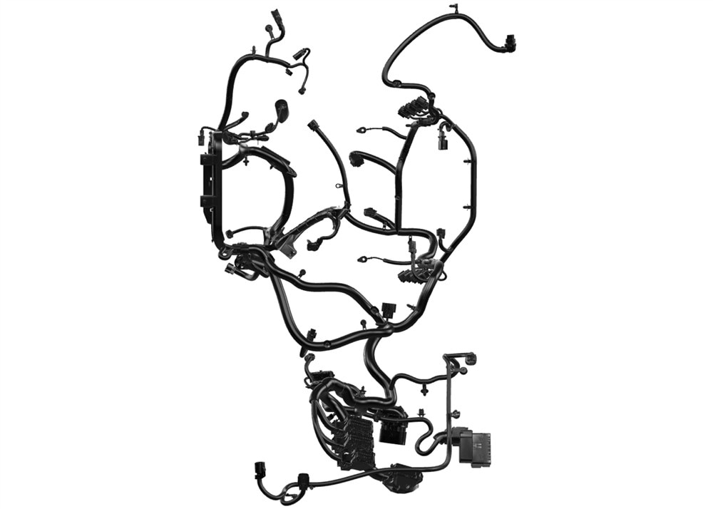 Alternate Image