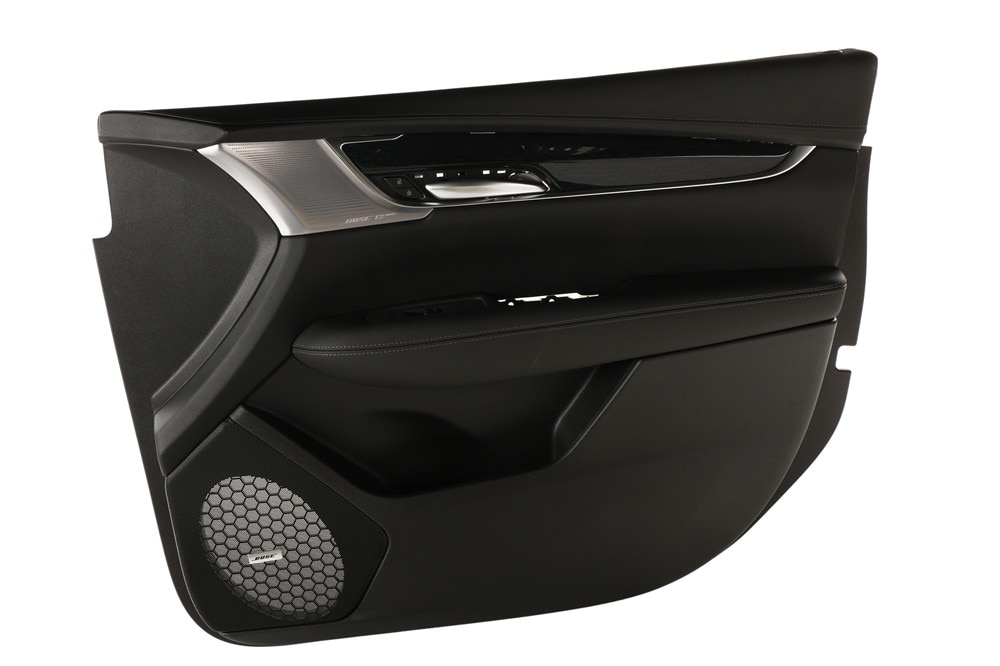 GM Genuine Parts Black Front Passenger Side Door Trim