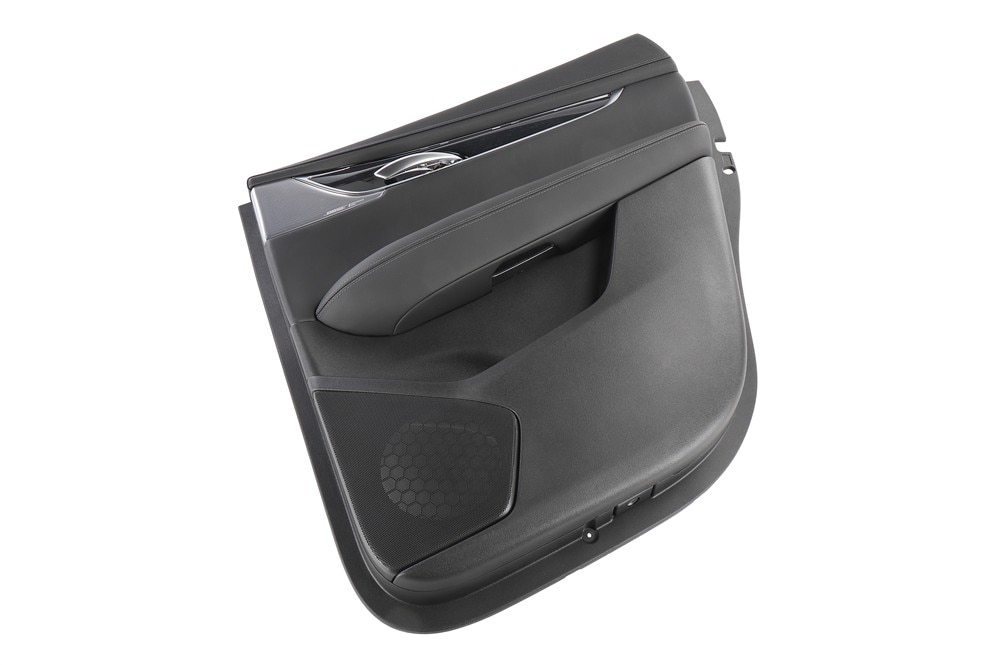 GM Genuine Parts Black Rear Passenger Side Door Trim