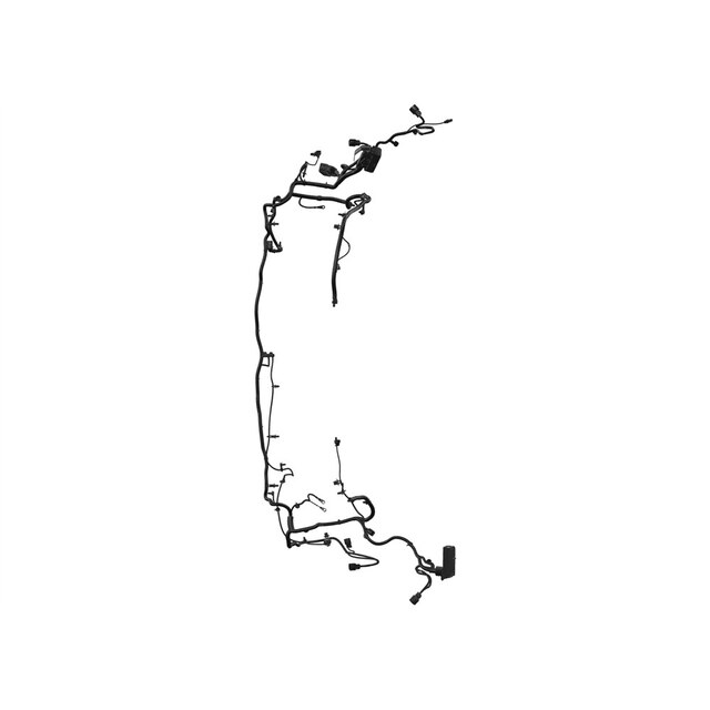 Alternate Image