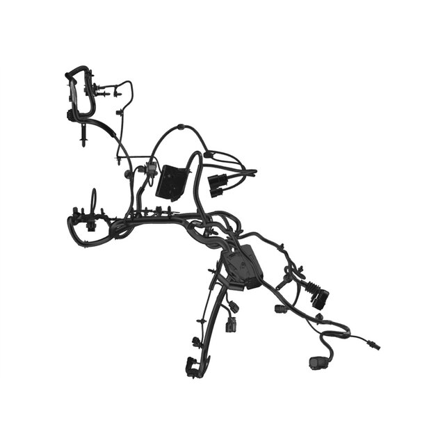 Alternate Image