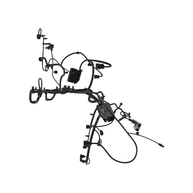 Alternate Image