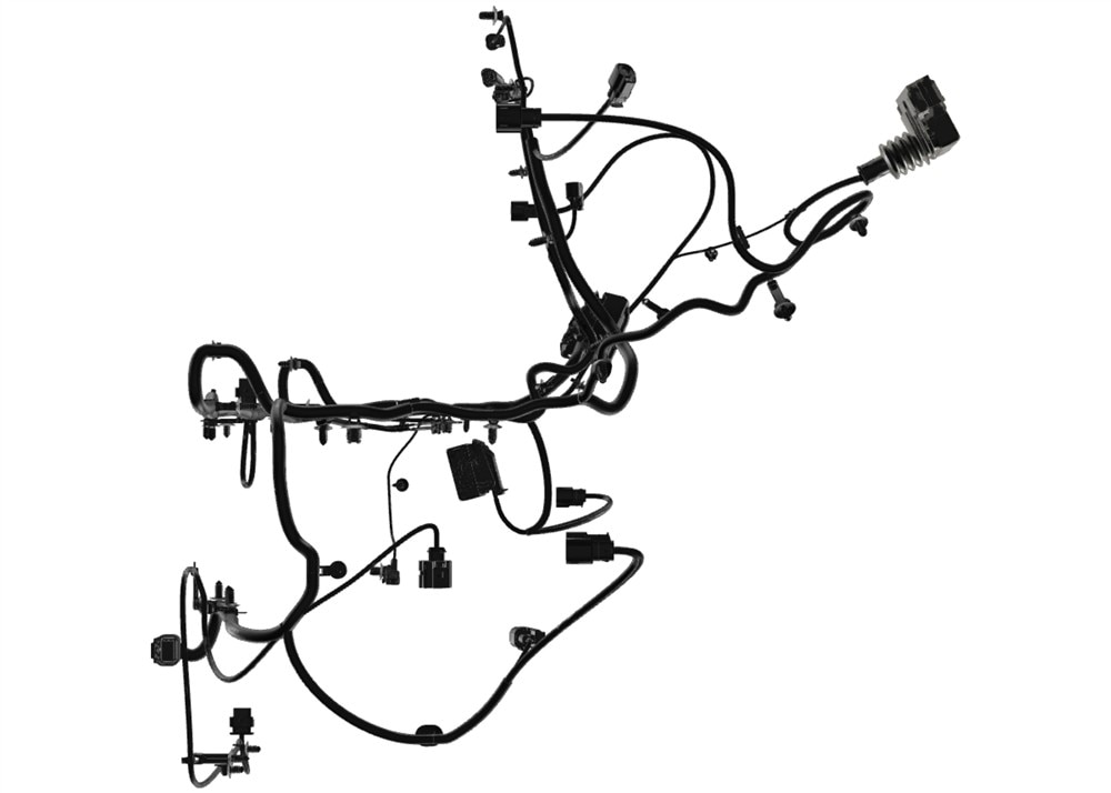 Alternate Image