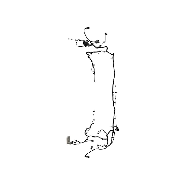 Alternate Image