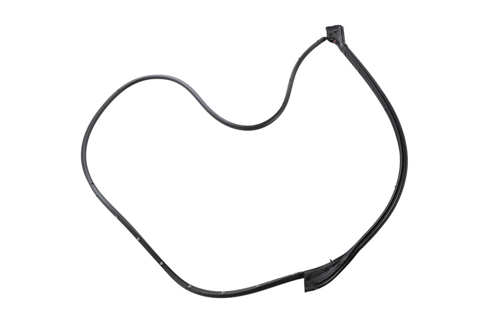 GM Genuine Parts Front Passenger Side Door Weatherstrip