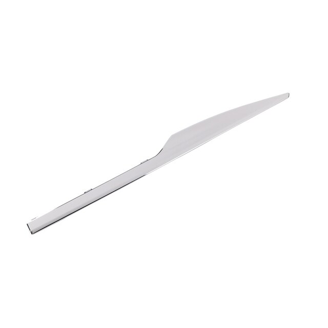 GM Genuine Parts Exterior Bright Chrome Rear Driver Side Door Molding Insert