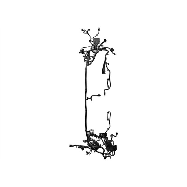 Alternate Image
