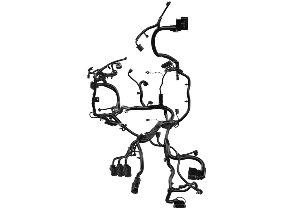 Alternate Image