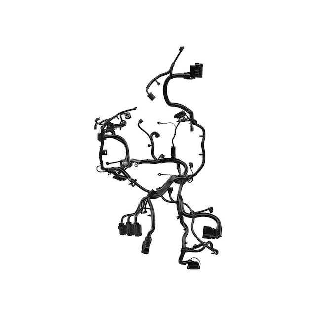 Alternate Image