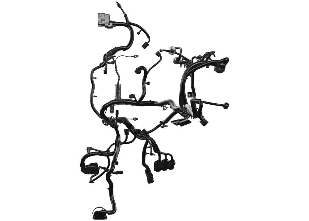 Alternate Image