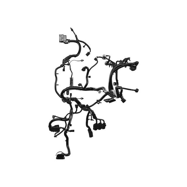 Alternate Image