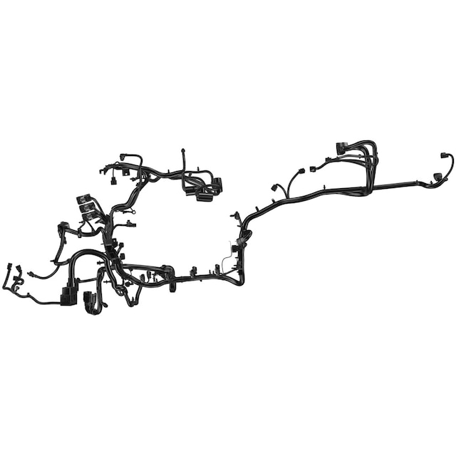 Alternate Image