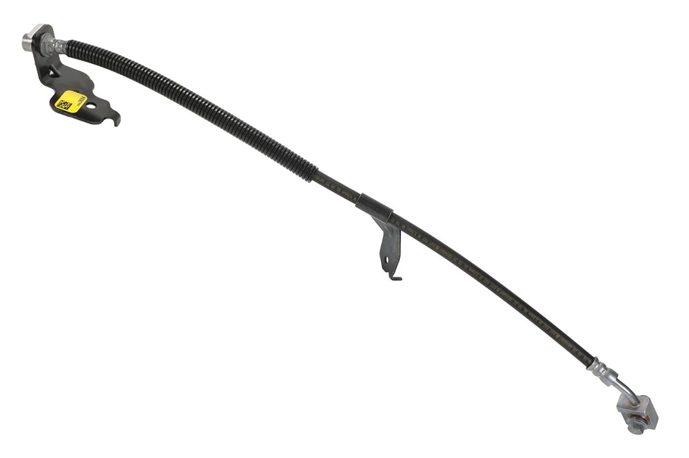 Alternate Image