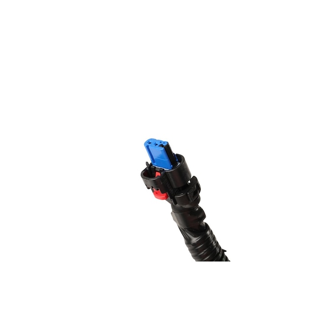 Alternate Image