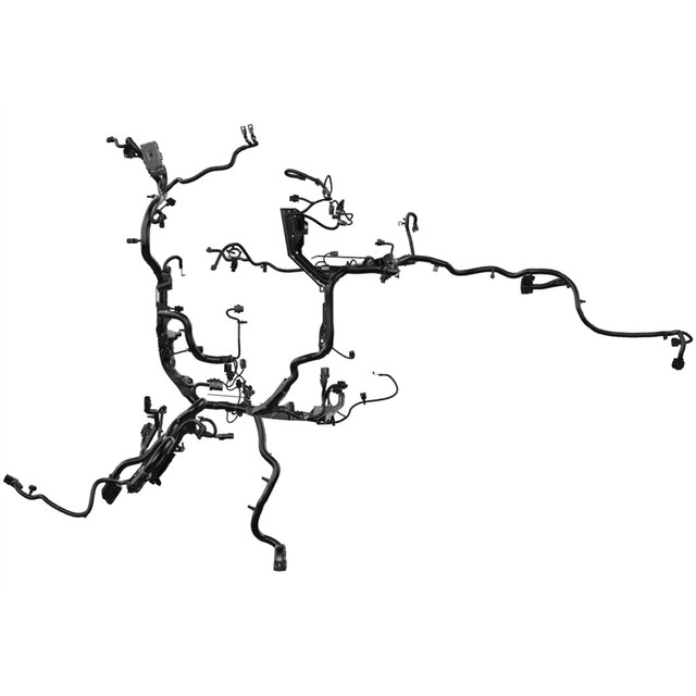 Alternate Image