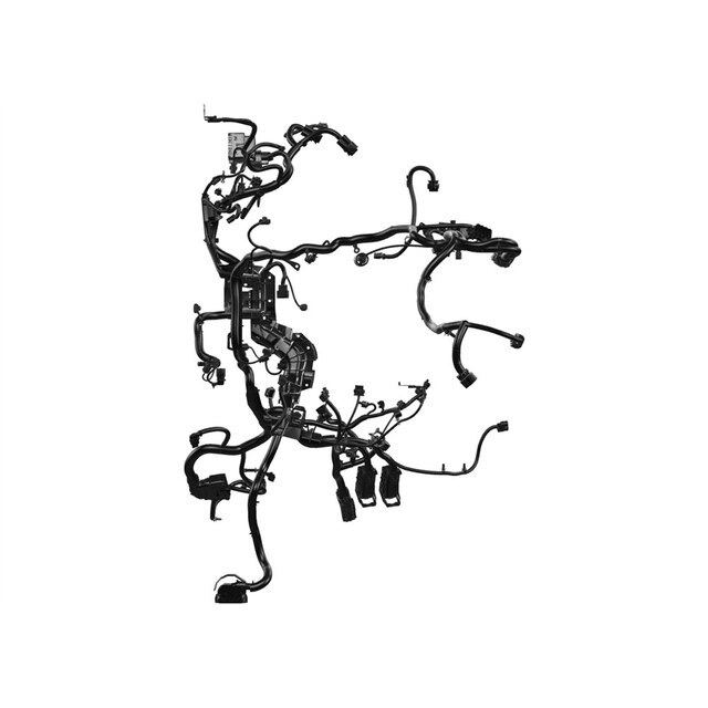 Alternate Image