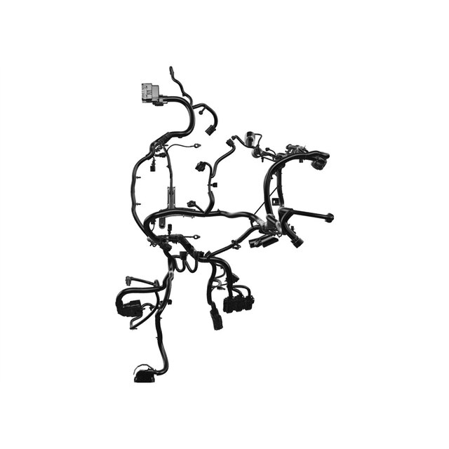 Alternate Image