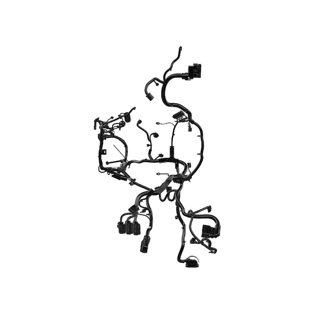 Alternate Image