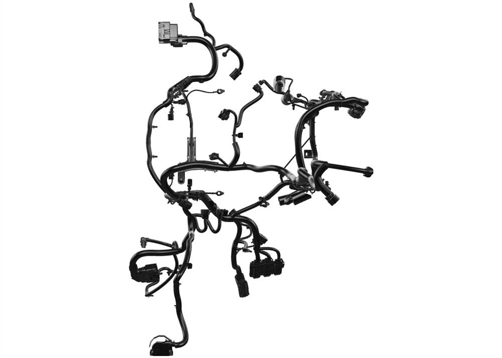 Alternate Image