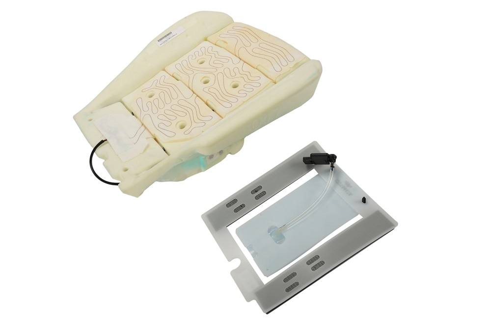 GM Genuine Parts Passenger Side Airbag Front Passenger Presence Module