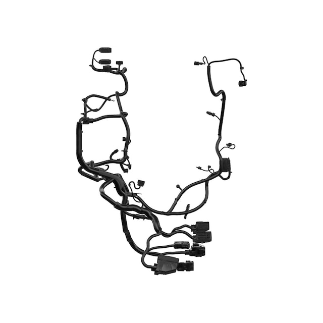Alternate Image