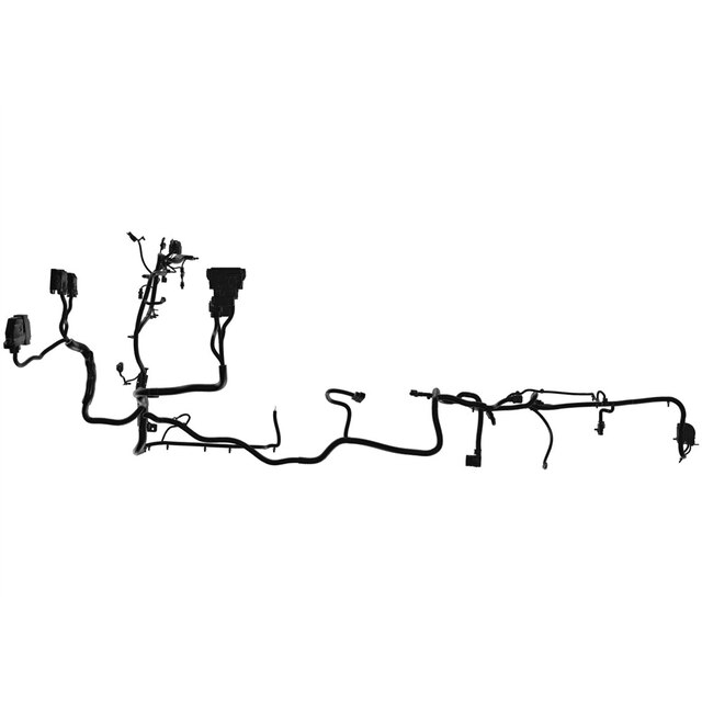 Alternate Image