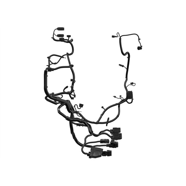 Alternate Image