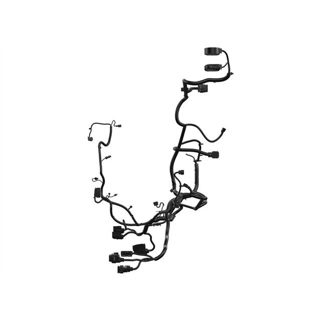 Alternate Image