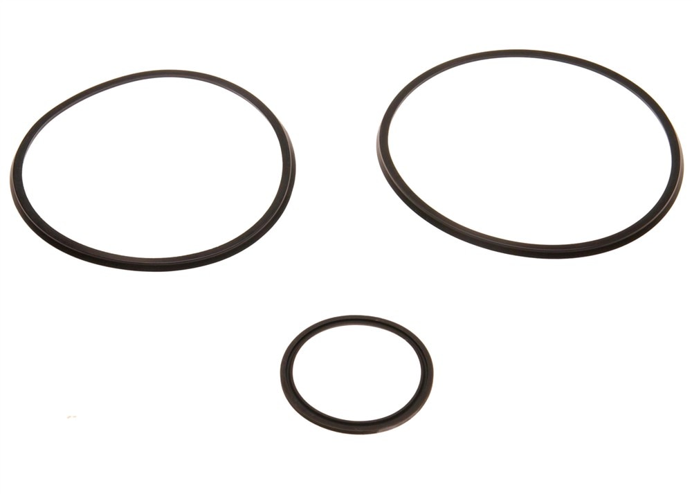GM Genuine Parts Reverse Input Clutch Seal