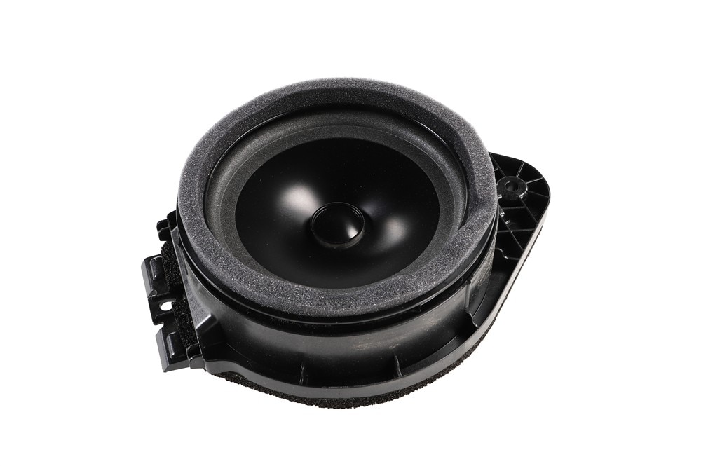 GM Genuine Parts Radio Rear Side Door Speaker