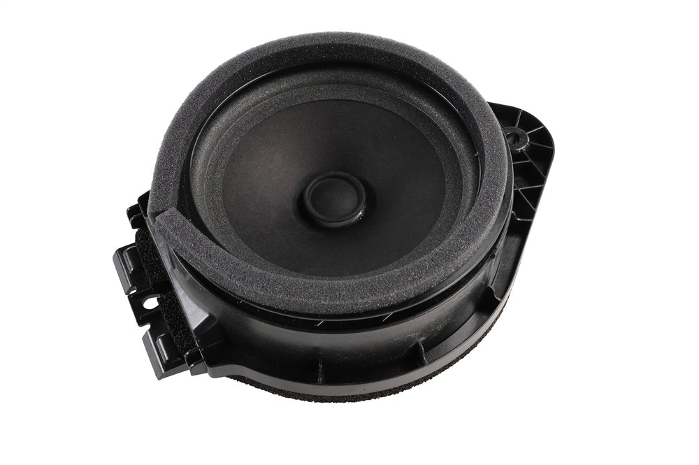GM Genuine Parts Radio Rear Side Door Speaker