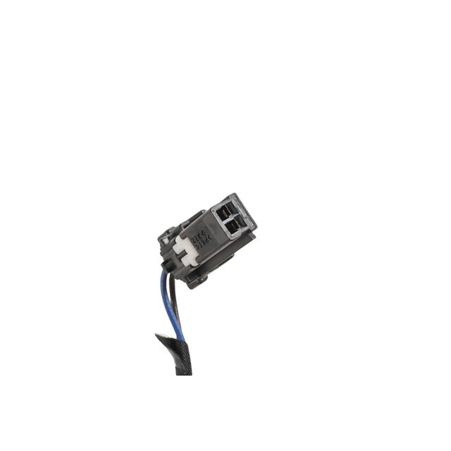 Alternate Image