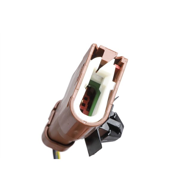 Alternate Image