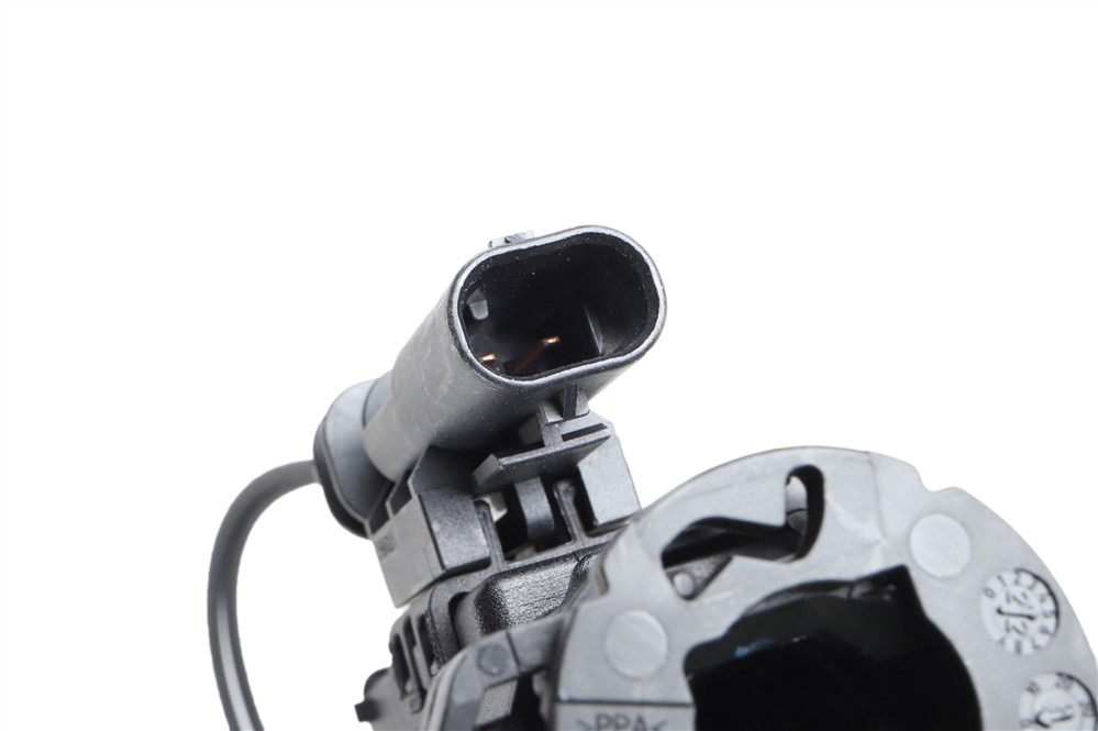 Alternate Image