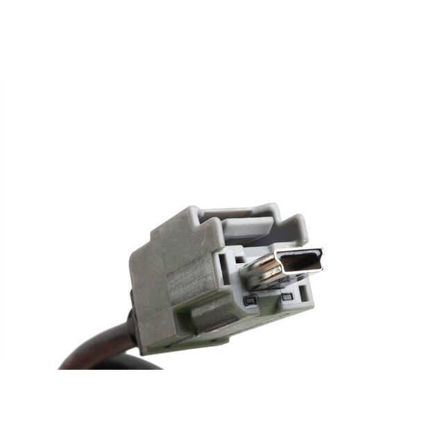 Alternate Image