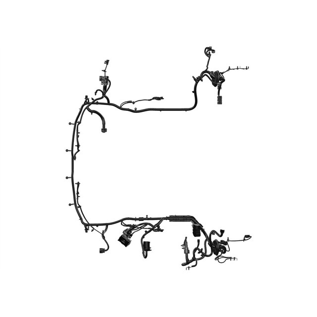 Alternate Image
