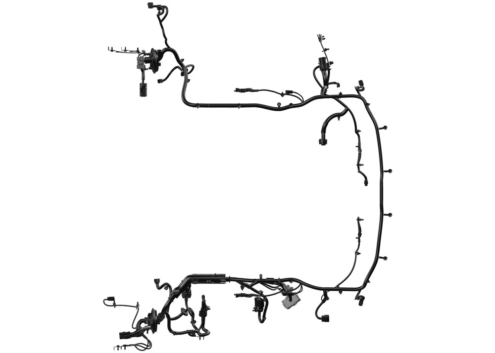 Alternate Image