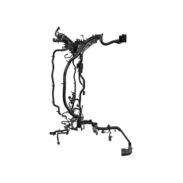 Alternate Image