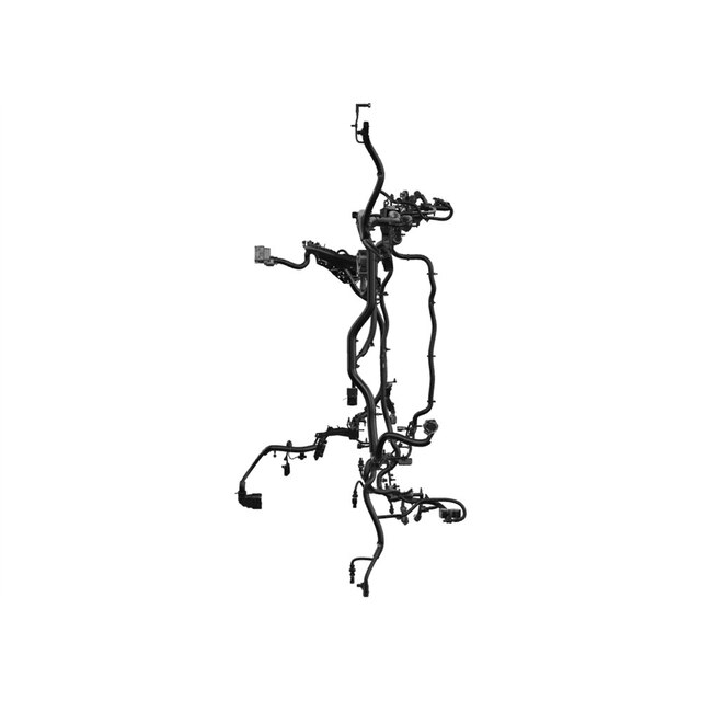 Alternate Image