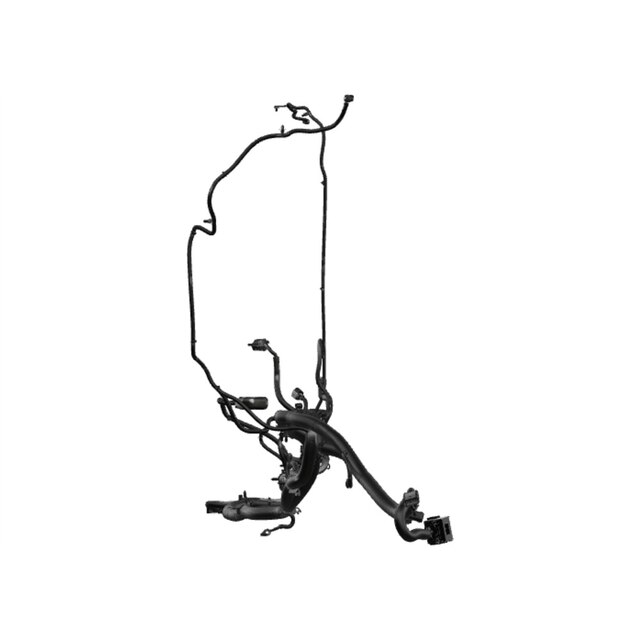 Alternate Image