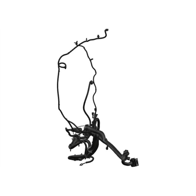 Alternate Image