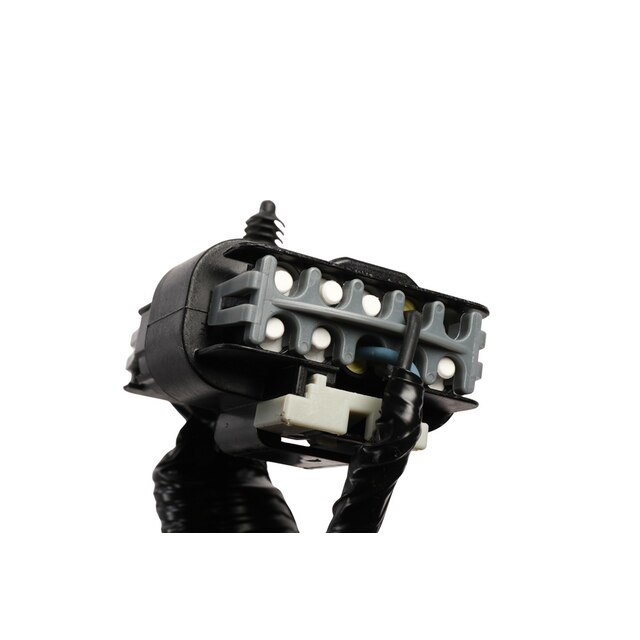 Alternate Image
