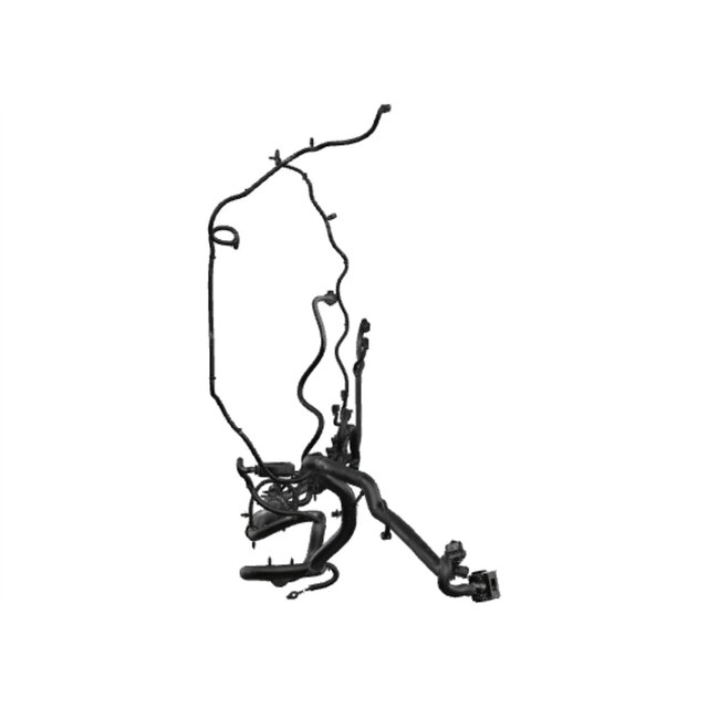 Alternate Image