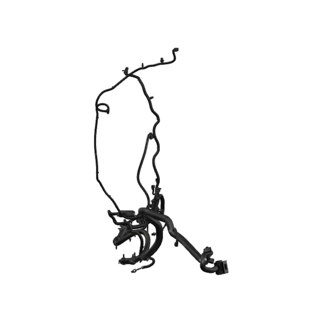 Alternate Image
