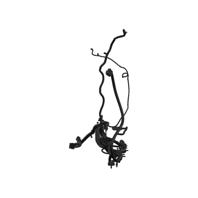 Alternate Image