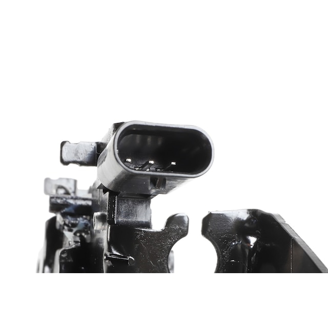 Alternate Image