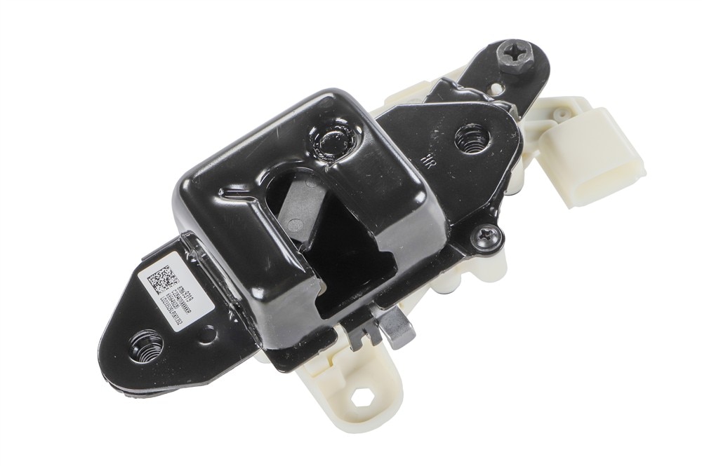 GM Genuine Parts Passenger Side Pickup Box Auxiliary Tailgate Latch (Programming Required)