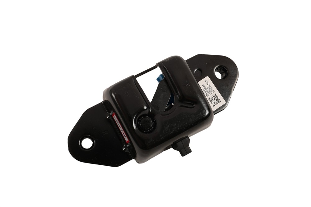 GM Genuine Parts Passenger Side Pickup Box Tailgate Latch